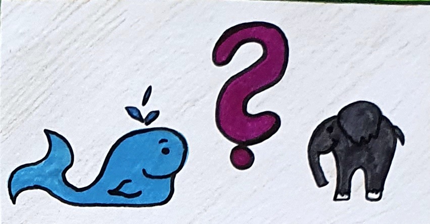 Grafik Wal Fragezeichen Elefant