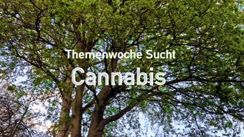 Grafi Themenwoche Cannabis